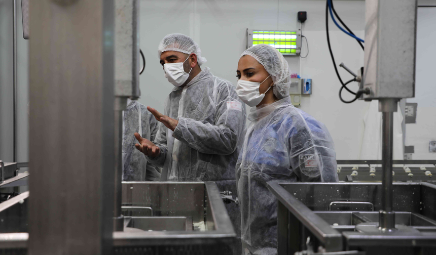 Değirmenlik Akıncılar Belediyesi Sağlık Şubesi, 81 iş yerini denetledi