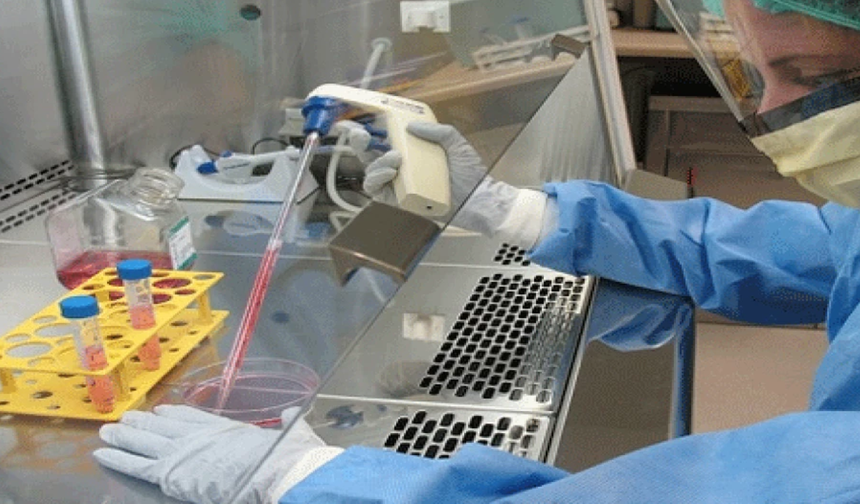 Kongo Demokratik Cumhuriyeti'nde yeniden Ebola salgını başladı