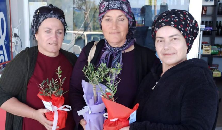 İSKELE BELEDİYESİ, ANNELERE, SAKSIDA ZEYTİN AĞACI ARMAĞAN EDİYOR