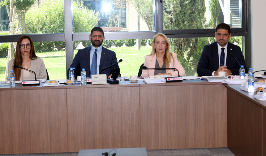 İdari, Kamu ve Sağlık İşleri Komitesi toplandı