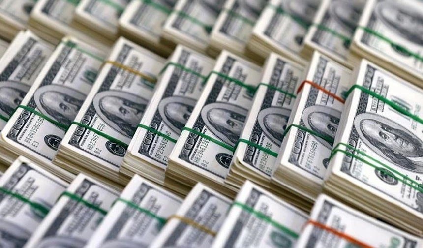 Dünya Bankasının 4 yılda Türkiye'de harekete geçirdiği özel sektör sermayesi 21 milyar doları aştı
