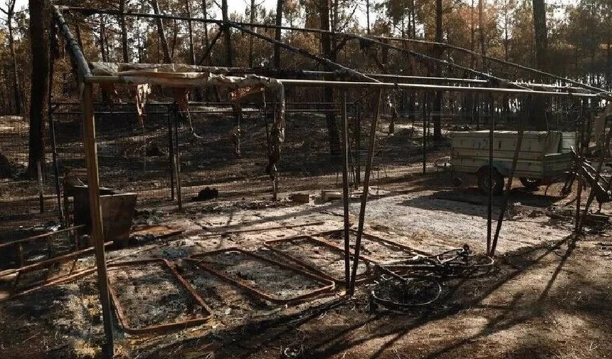 Fransa'nın Gironde vilayetinde devam eden yangın nedeniyle 4 bin kişi daha tahliye edildi
