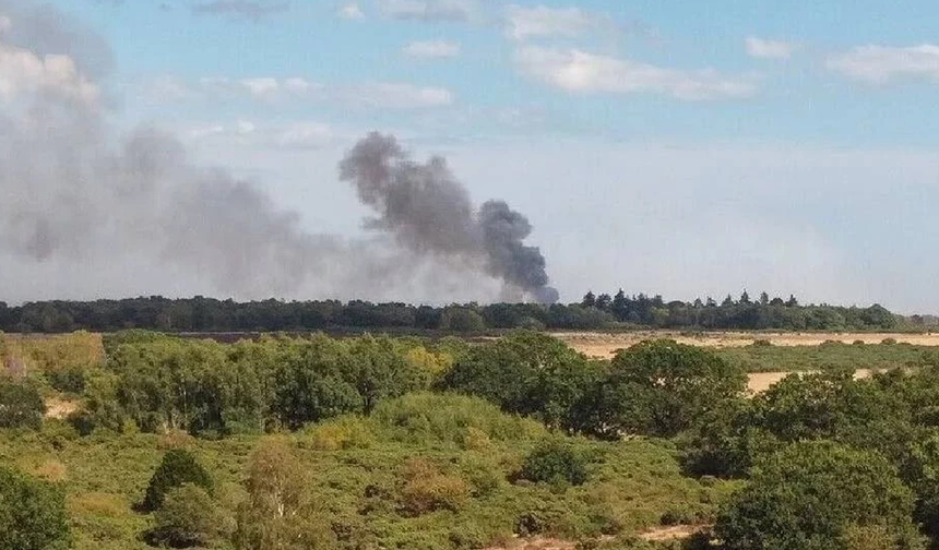 İngiltere'deki orman yangınına müdahalenin haftaya kadar sürebileceği açıklandı