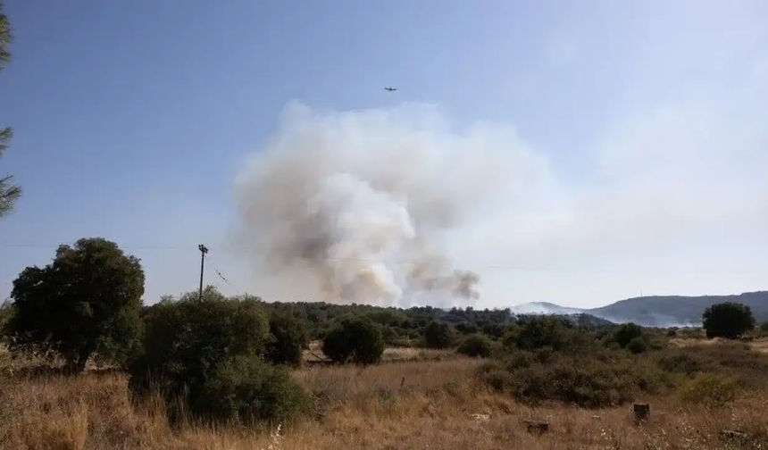 Midilli Adası'nda ormanlık alanda yangın çıktı