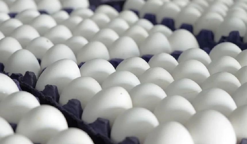 ABD'de milyonlarca yumurta salmonella şüphesiyle geri çağırıldı