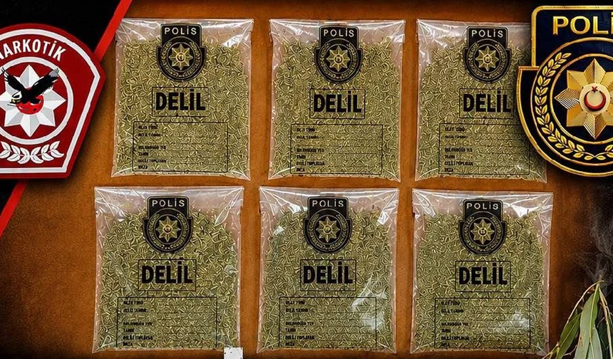 "Okaliptus Operasyonu"nda 600 gram sentetik uyuşturucu ele geçirildi: 3 tutuklu