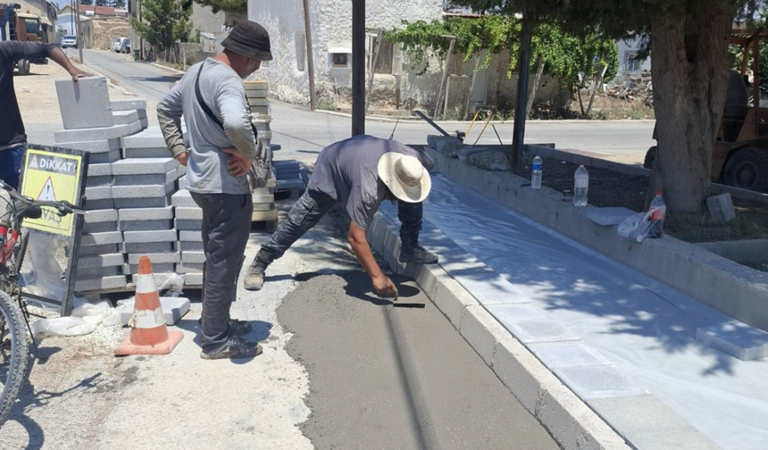 Mesarya Belediyesi'nden Vadili Hamlesi
