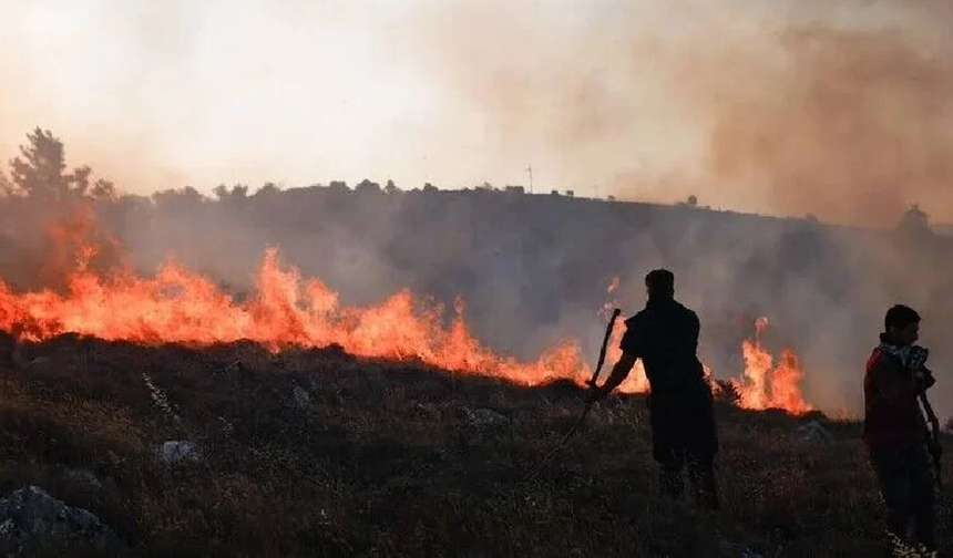 DSÖ: Avrupa'da orman yangınları dört yılda yüzde 57 arttı