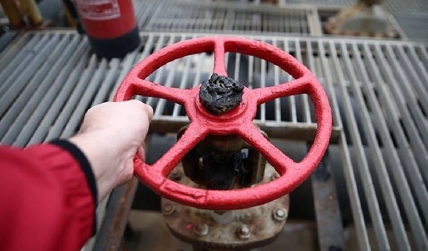 Almanya'da doğal gaz depolarının "doluluk oranı" tartışma konusu oldu