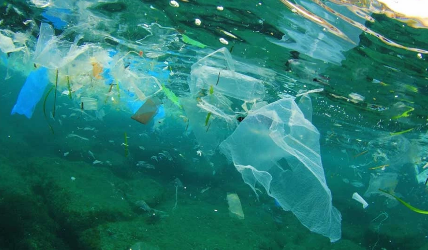 Denizlerin en derin noktalarında mikroplastik bulundu