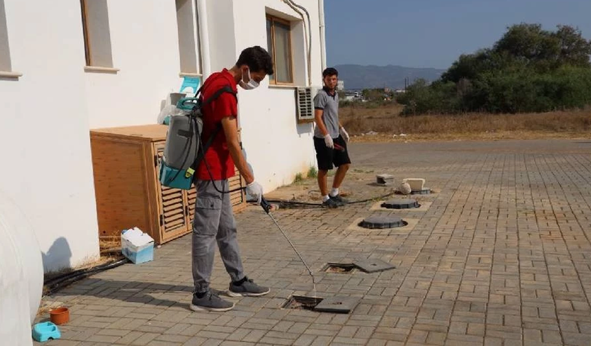 İskele Belediyesi ikinci dönem haşereyle mücadele çalışmalarına başladı