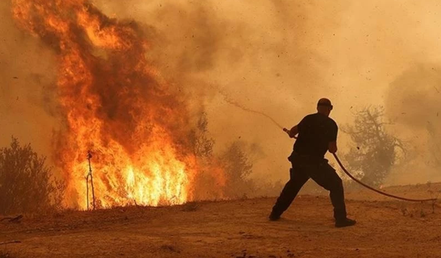 Avrupa'daki orman yangınlarının faturası 19 milyar euroya ulaştı