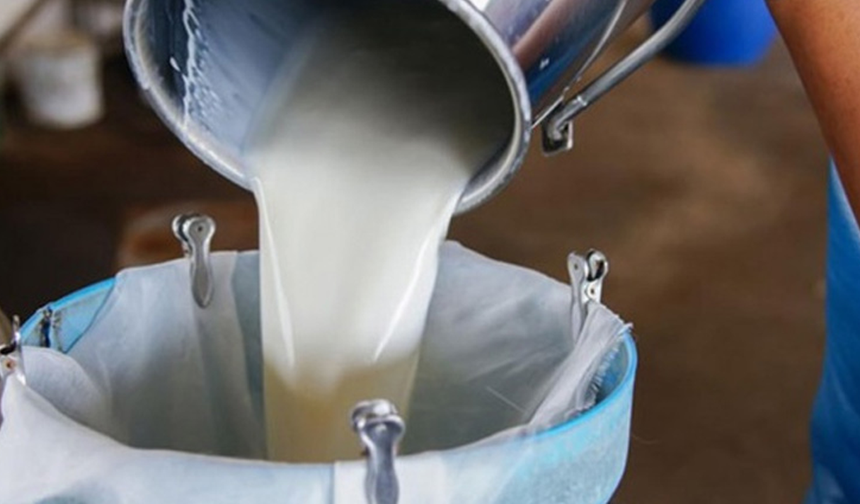 Süt bedelleri ödendi… Üreticilere 210 milyon 943 bin 127 TL ödeme yapıldı
