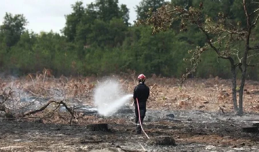 Fransa'nın Lozere vilayetinde ormanlık alanda çıkan yangında 250 hektarlık alan kül oldu