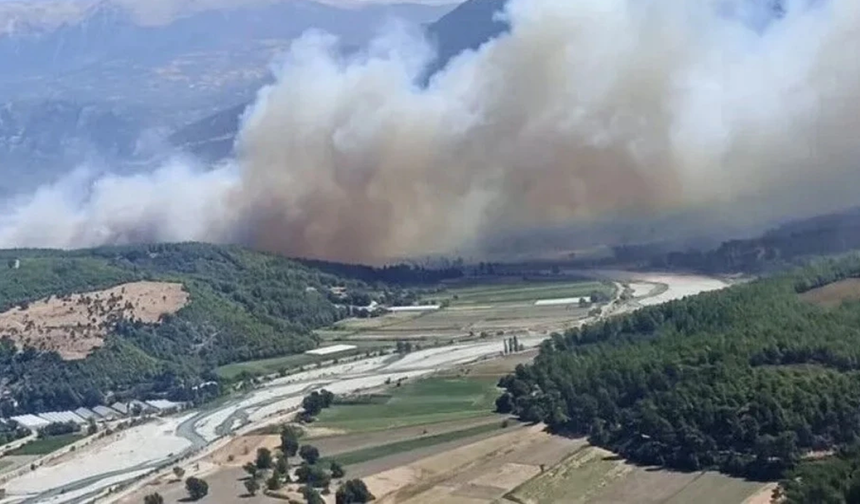 Muğla’da tarım alanında başlayan yangın Kaş’a sıçradı