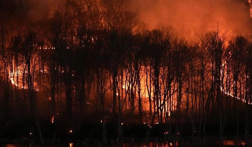 Sırbistan'da 45 orman yangınına müdahale sürüyor