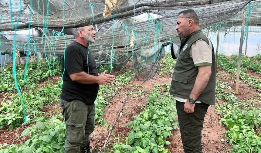 Çavuş, Güneşköy ve Aydınköy’de