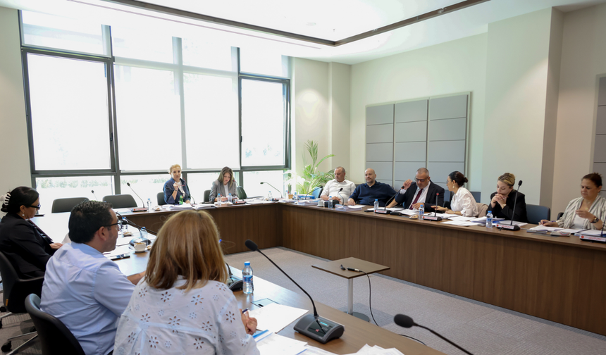 Mali Yasa Komiteden Geçti