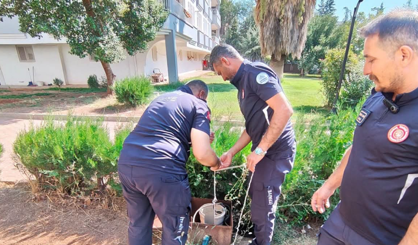İtfaiyeden Kedi Kurtarma
