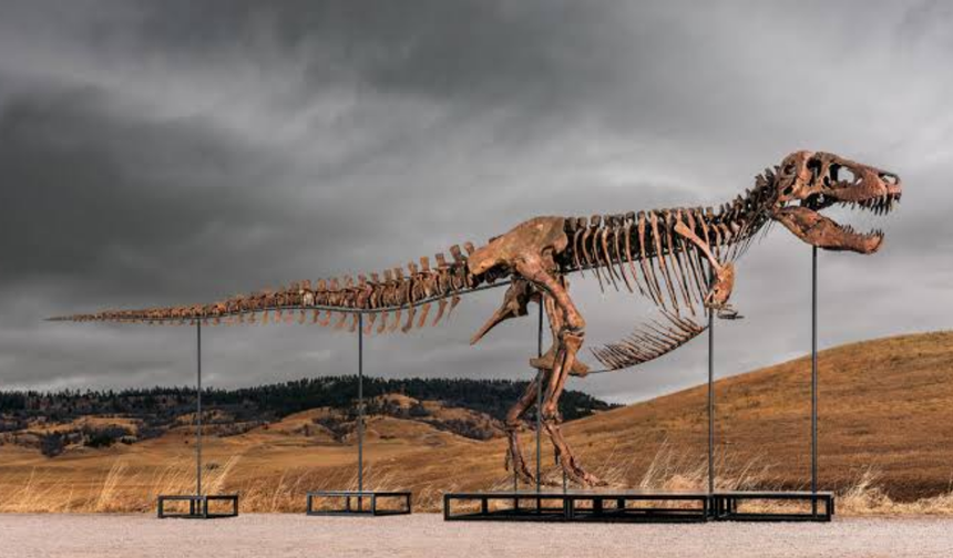 Araştırma, T-rex'in vücut ısısının insanlarınkine benzer olduğuna işaret ediyor