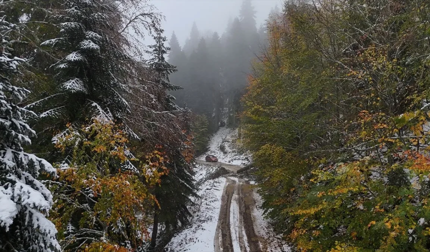 Uşak, Karabük ve Kastamonu'nun yüksek kesimleri karla kaplandı
