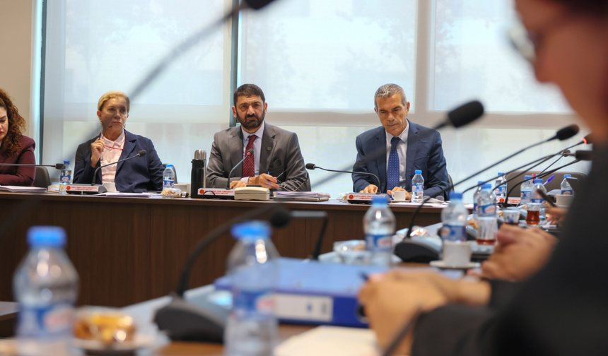 Gemi faciasını araştıracak komite toplandı