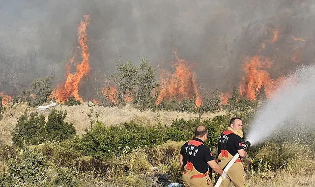 Manisa Buyuksehir Akhisardaki Yangin Bolgesinde