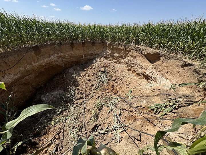 17Bb7883 85F575A3 303A 4A0B 878A 7400Cafce7Be