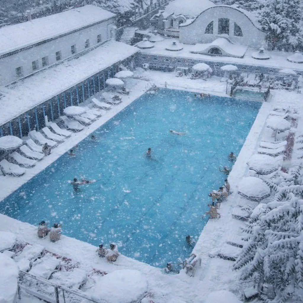 1Ed44878 6Bb8 4Cfa 91E6 Cc87997B7A4E