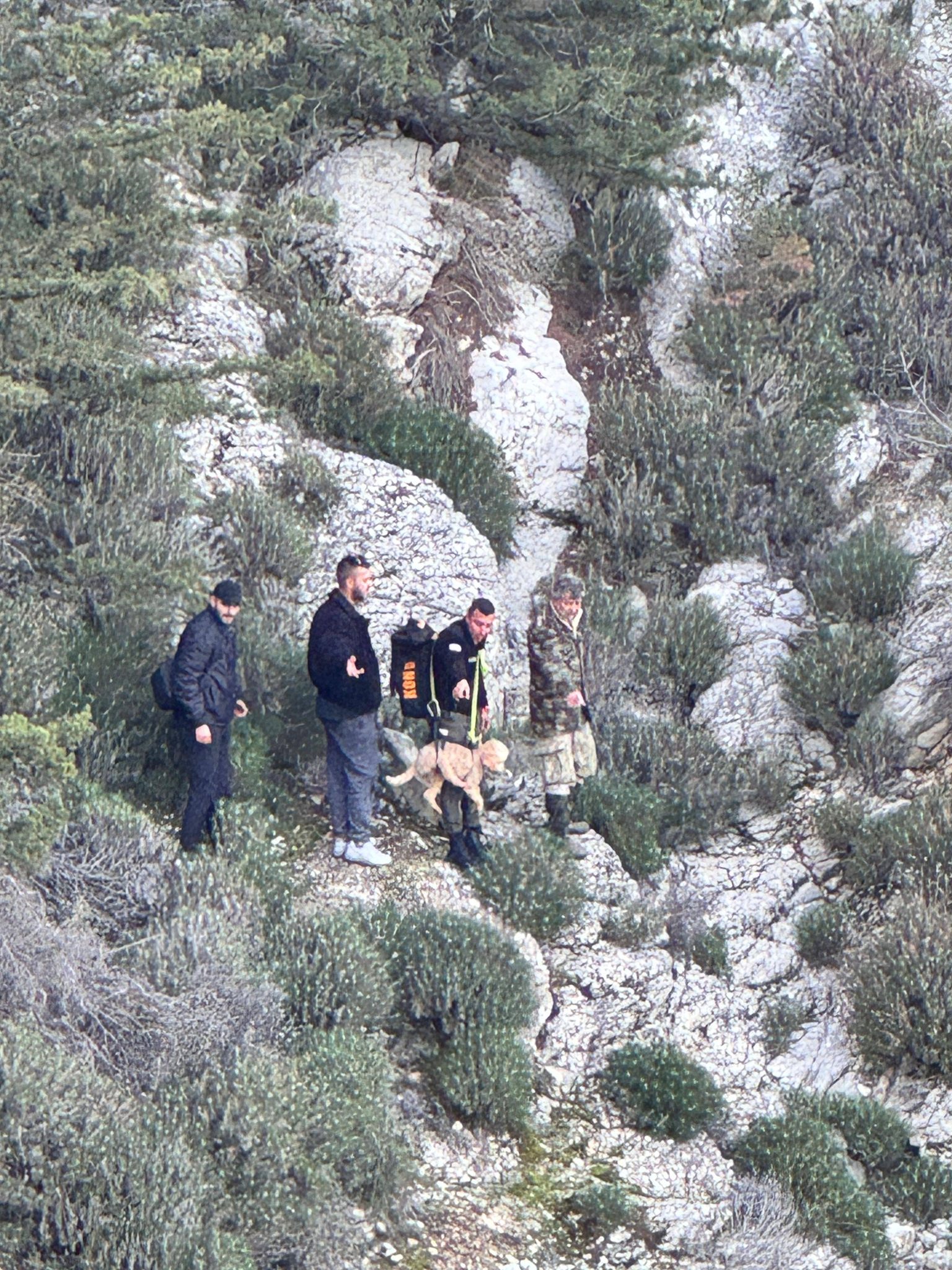 611590193 1294892462685102 4689524154240290141 N