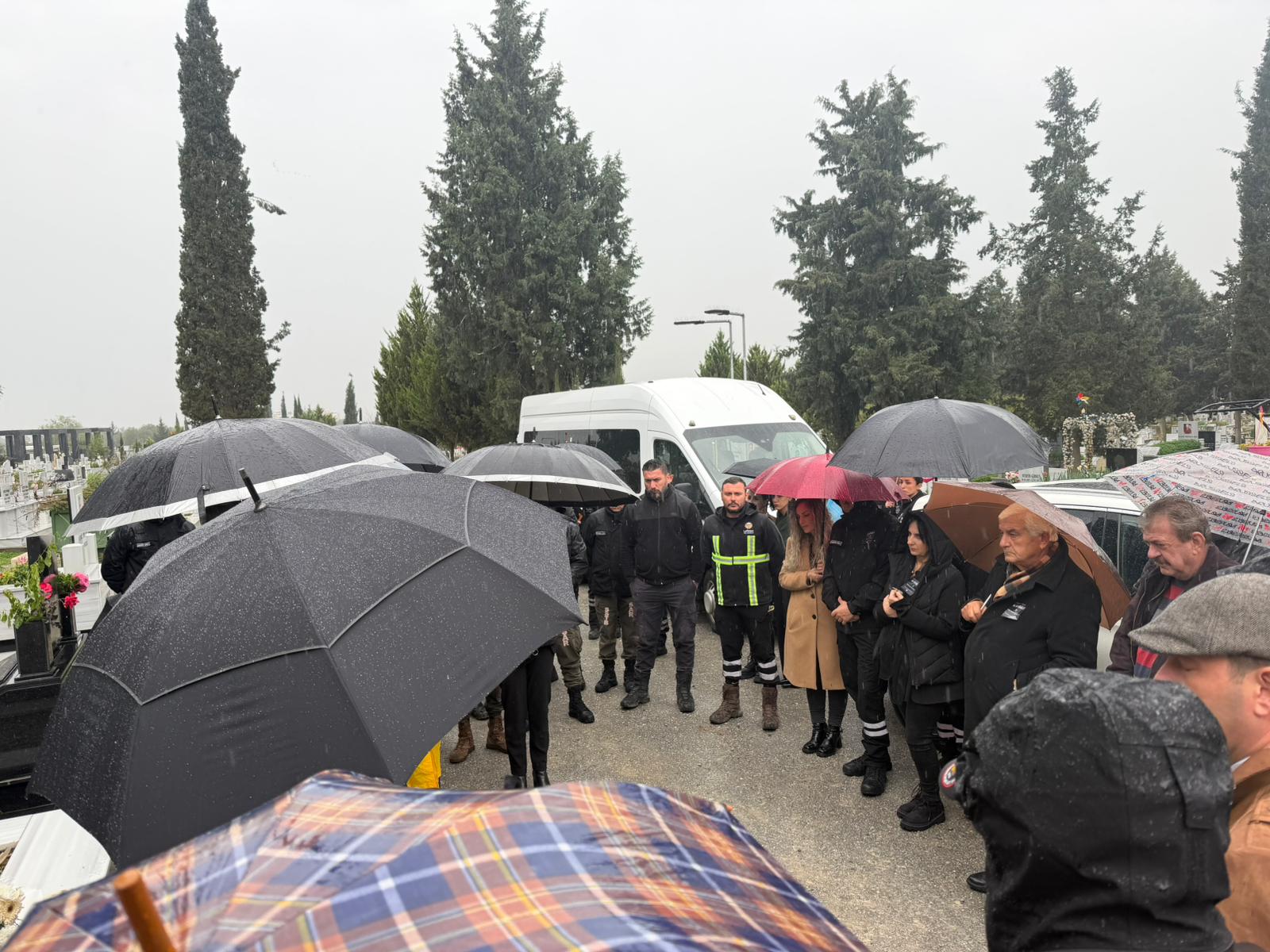 Whatsapp Image 2026 02 06 At 11.25.01