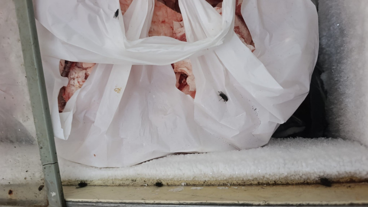 Haber Fotoğraf Bülent (45)-4