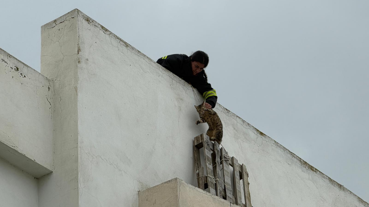 Haber Fotoğraf Bülent1 2026 04 19T141449.630