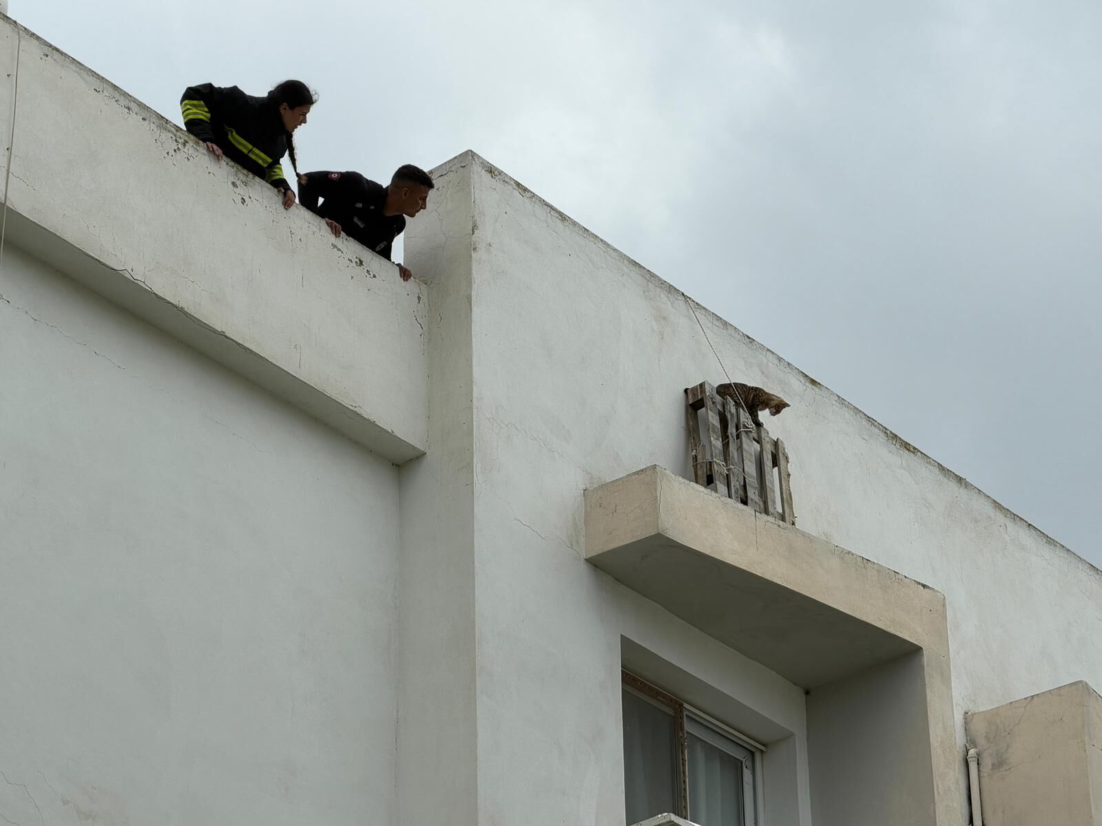 Whatsapp Image 2026 04 19 At 14.11.36