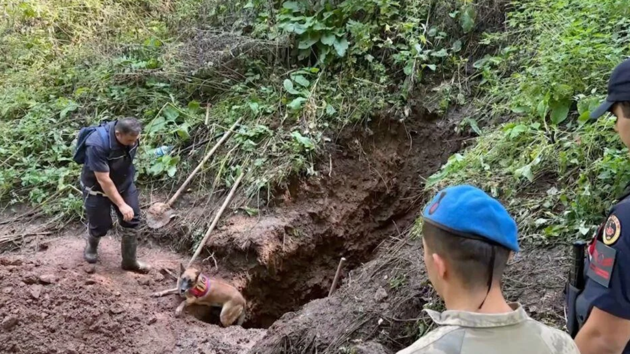 30 yıllık cinayette sır çözüldü