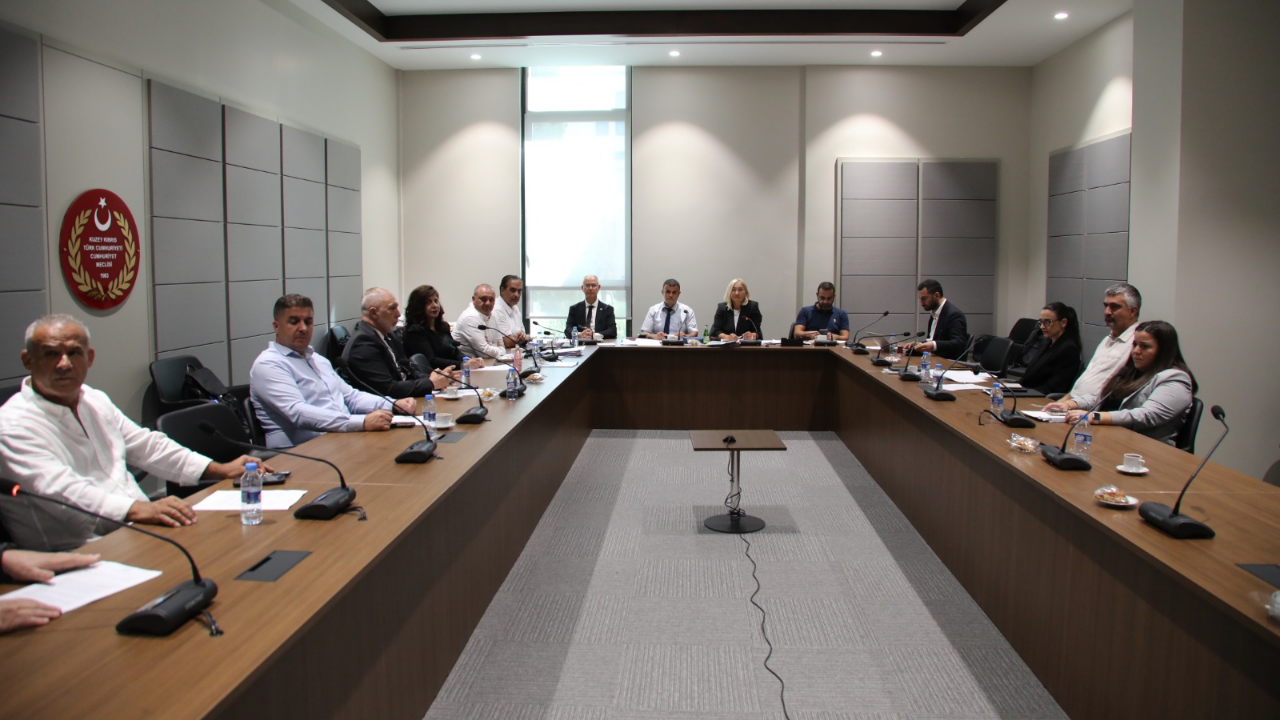 Seçim ve Halkoylaması Yasası Genel Kurul Gündemine Alındı