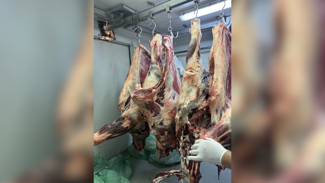 Gönyeli’de gıda güvenliği kapsamında kasap dükkânları denetlendi